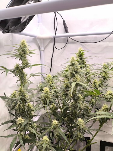 Growreport Bild 12