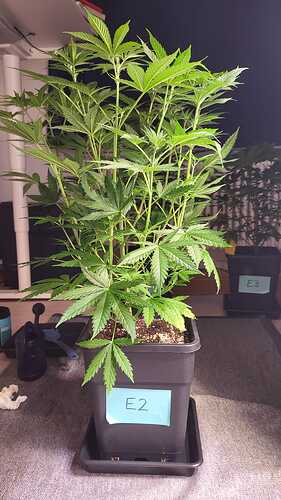Growreport Bild 21