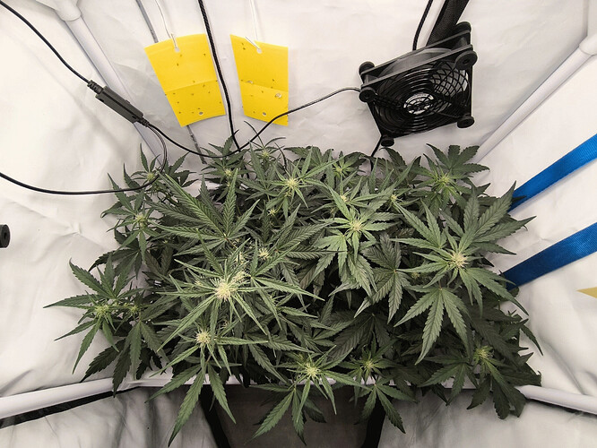 Growreport Bild 2