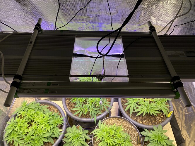 Growreport Bild 94