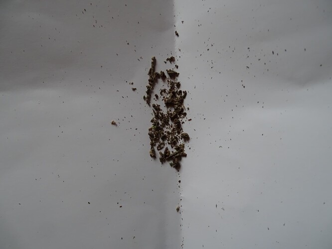 Growreport Bild 2