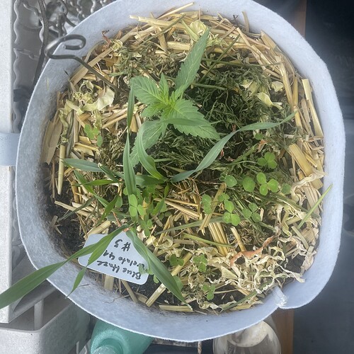 Growreport Bild 7
