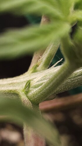 Growreport Bild 30