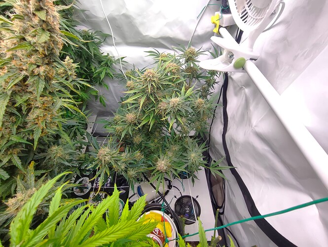 Growreport Bild 19