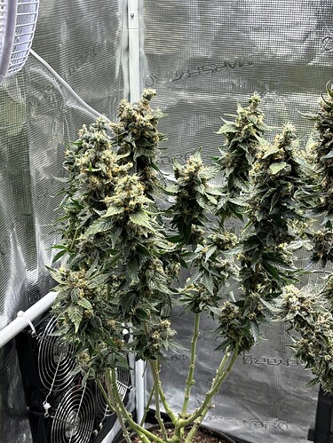Growreport Bild 16