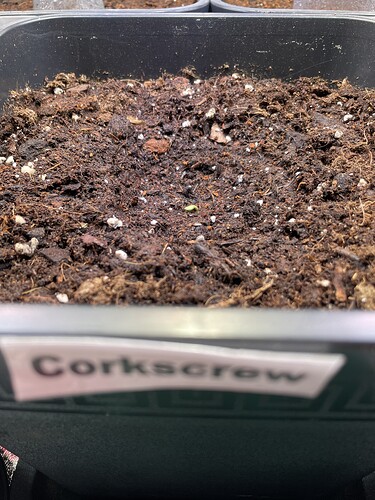 Growreport Bild 23
