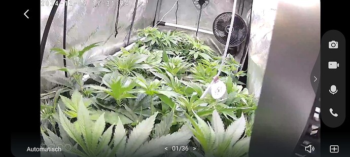 Growreport Bild 23