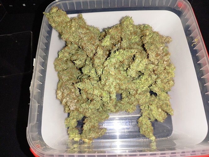 Ein Behälter voller getrockneter Cannabis-Buds, die auf einer Waage liegen.