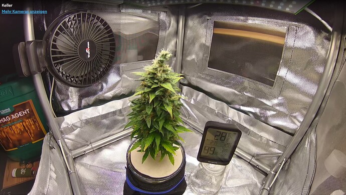 Growreport Bild 5