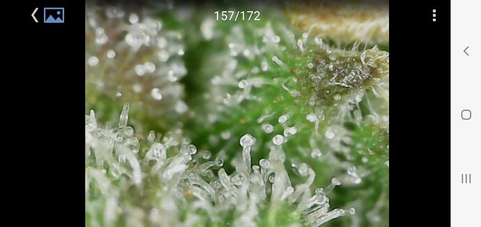 Growreport Bild 10