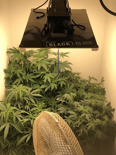 Growreport Bild 7