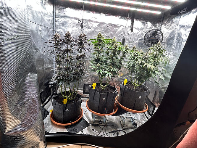 Growreport Bild 2