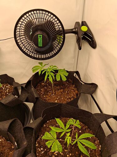 Growreport Bild 20