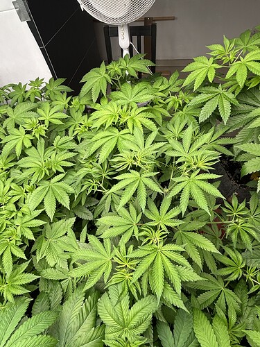 Growreport Bild 17