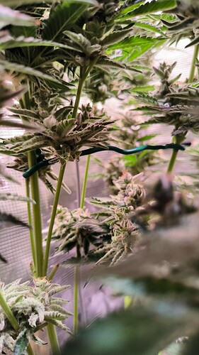 Growreport Bild 26