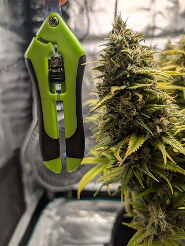 Growreport Bild 15