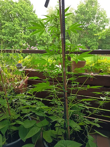 Growreport Bild 10
