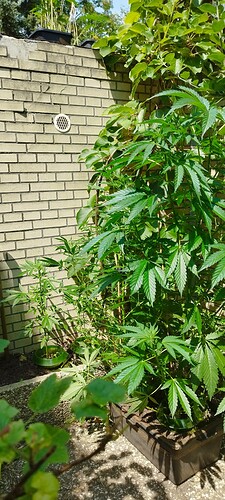 Growreport Bild 14