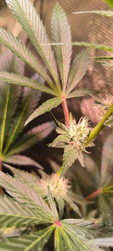 Growreport Bild 10
