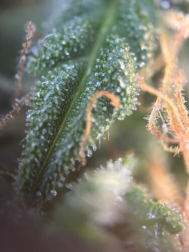 Growreport Bild 11