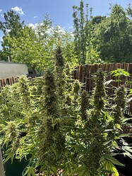 Growreport Bild 9