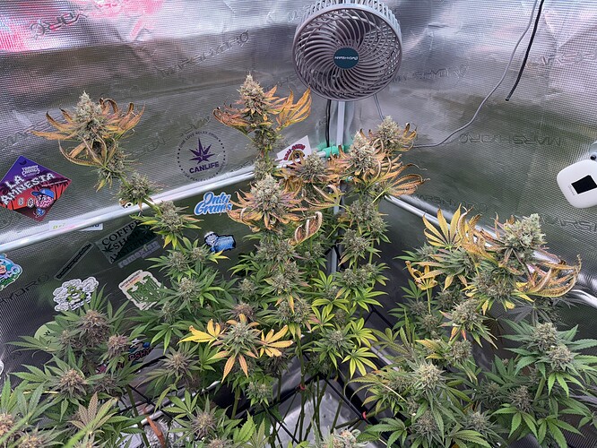 Growreport Bild 31