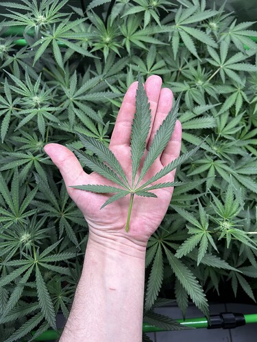 Growreport Bild 23