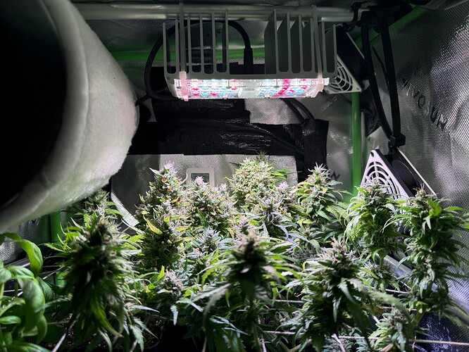 Growreport Bild 7