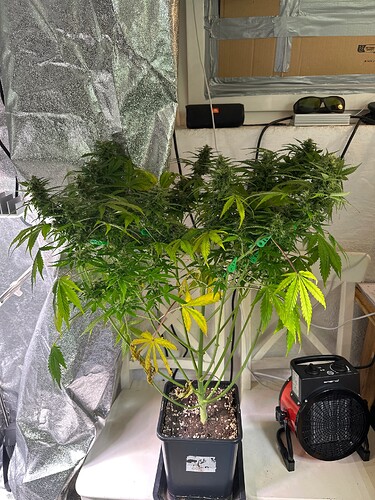 Growreport Bild 9