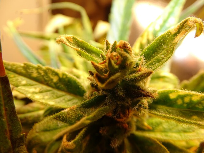 Growreport Bild 18