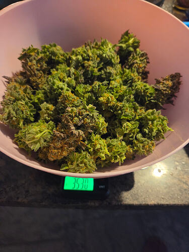 Growreport Bild 16