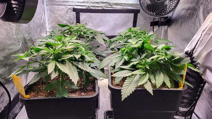 Growreport Bild 7