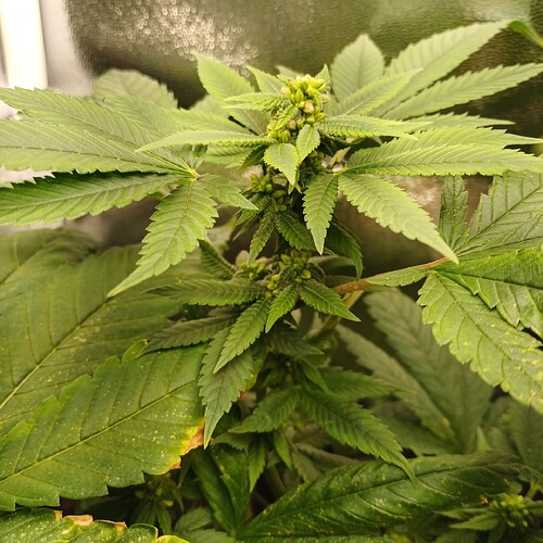Growreport Bild 10