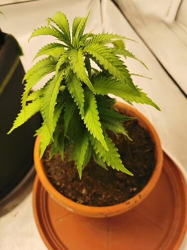 Growreport Bild 8