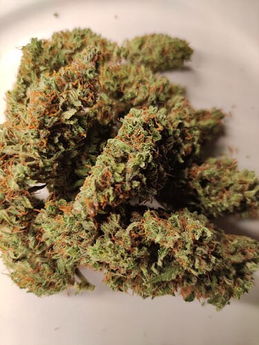 Growreport Bild 18