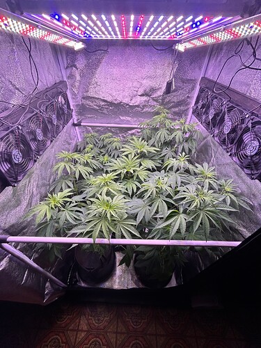Growreport Bild 10