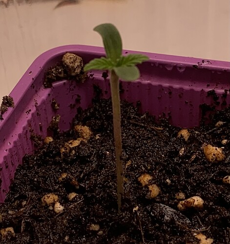Growreport Bild 11
