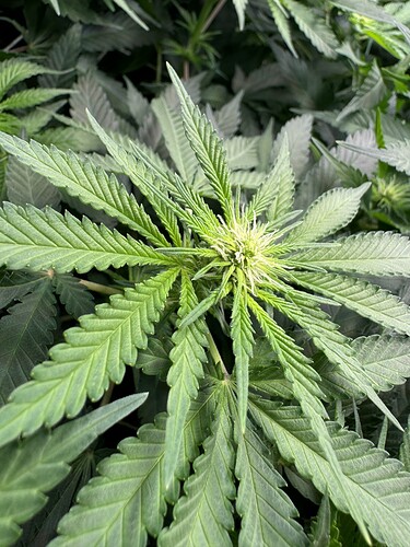 Growreport Bild 10