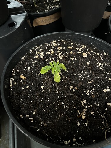 Growreport Bild 11
