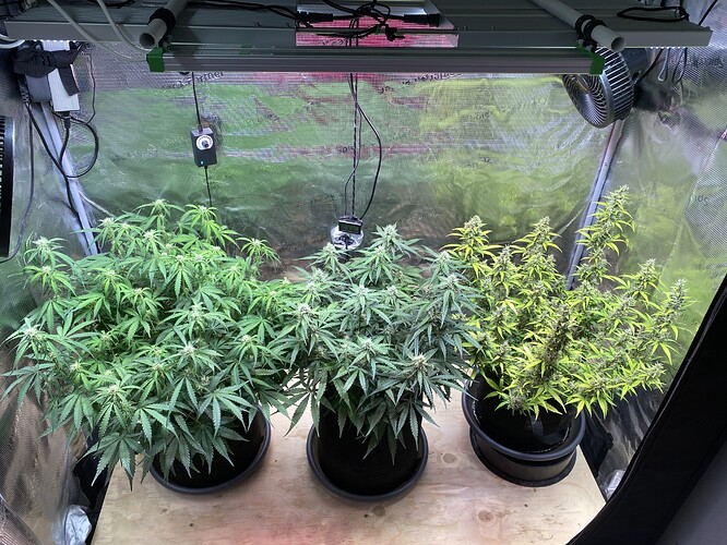 Growreport Bild 17