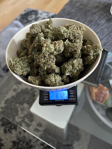 Growreport Bild 1