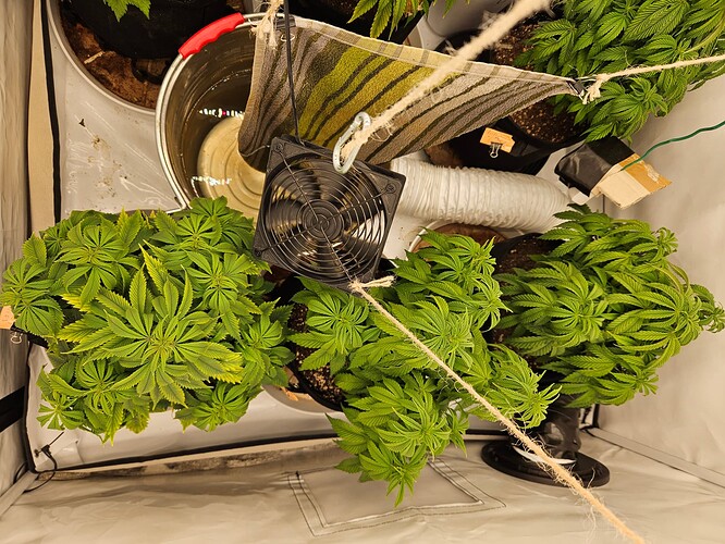 Growreport Bild 5