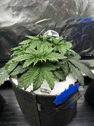 Growreport Bild 23