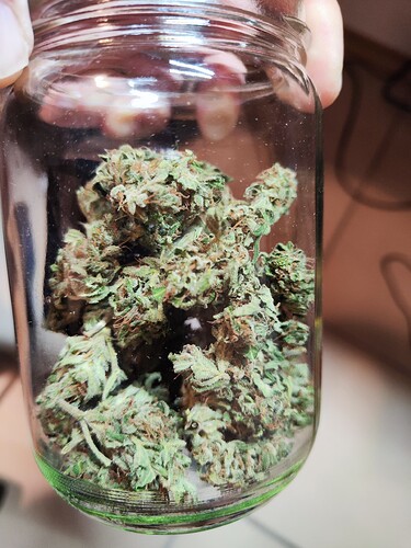 Growreport Bild 10