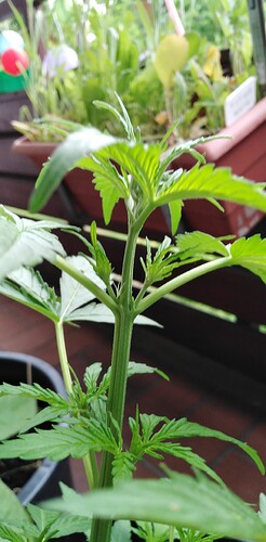 Growreport Bild 9