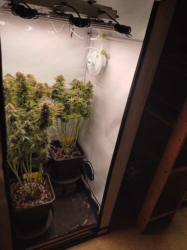 Growreport Bild 49