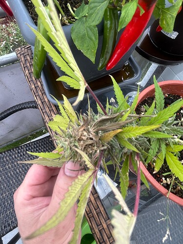 Growreport Bild 9