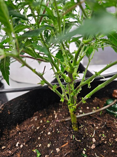 Growreport Bild 3
