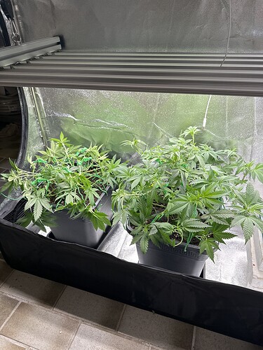 Growreport Bild 21