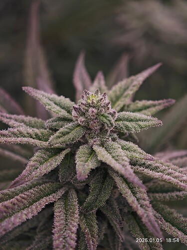 Growreport Bild 24